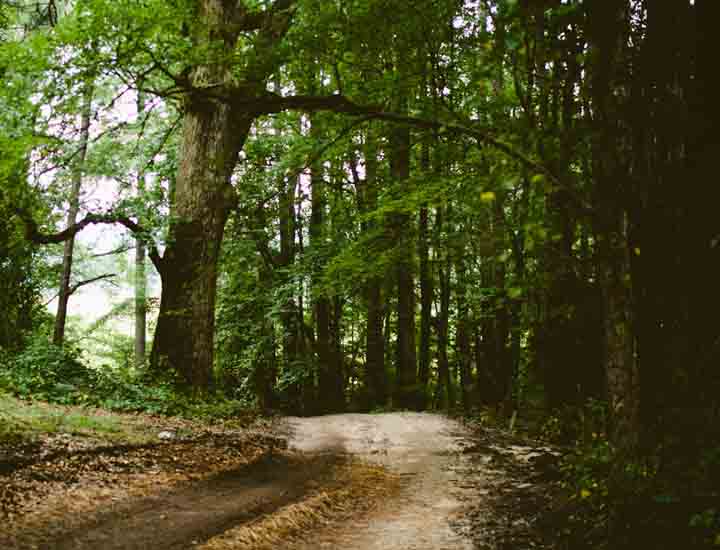 blog image